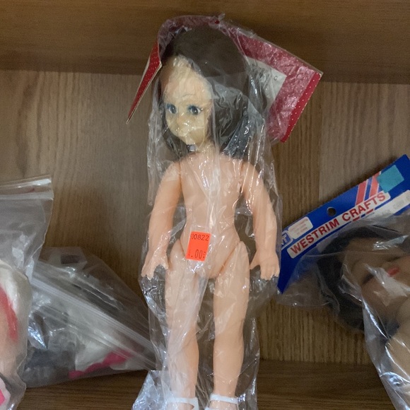 Collectible dolls sold as a lot. Asking Dutch auction opening bid $75 - Picture 8 of 9